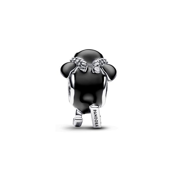 Pandora Charms Image 2 The Source Fine Jewelers Greece, NY