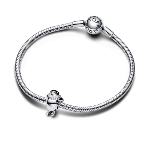 Pandora Charms Image 3 The Source Fine Jewelers Greece, NY