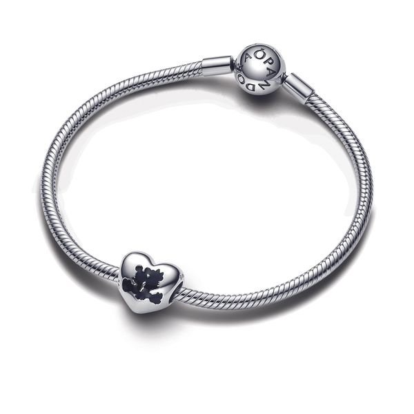 Pandora Charms Image 3 The Source Fine Jewelers Greece, NY