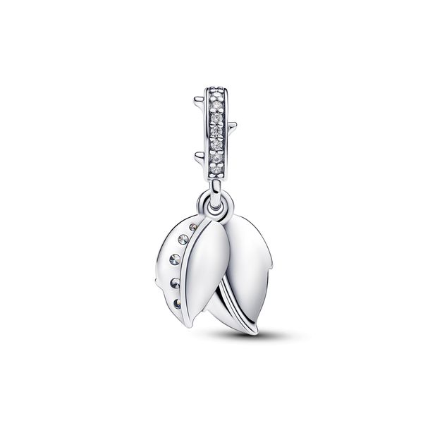 Pandora Charms Image 2 The Source Fine Jewelers Greece, NY