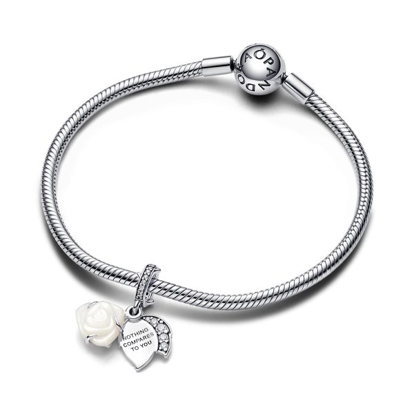 Pandora Charms Image 4 The Source Fine Jewelers Greece, NY