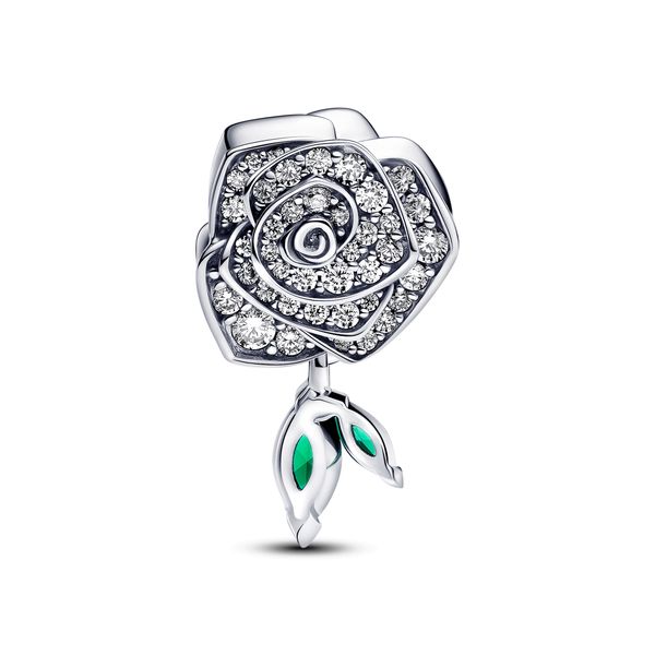 Pandora Charms Image 2 The Source Fine Jewelers Greece, NY