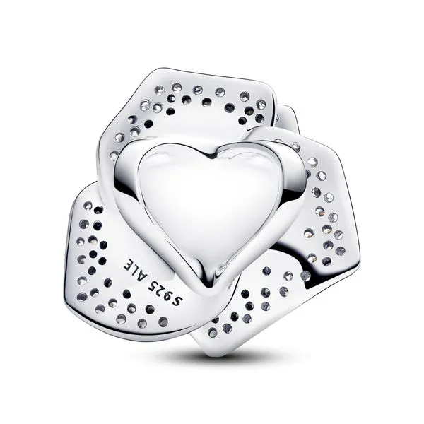 Pandora Charms Image 2 The Source Fine Jewelers Greece, NY