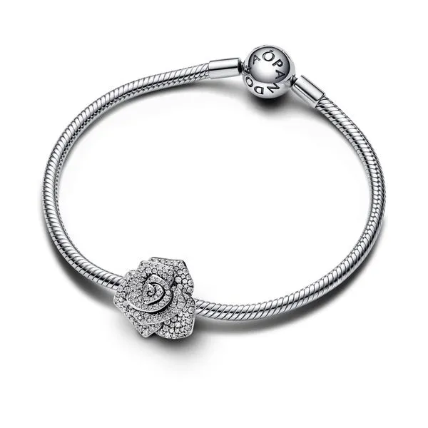 Pandora Charms Image 3 The Source Fine Jewelers Greece, NY