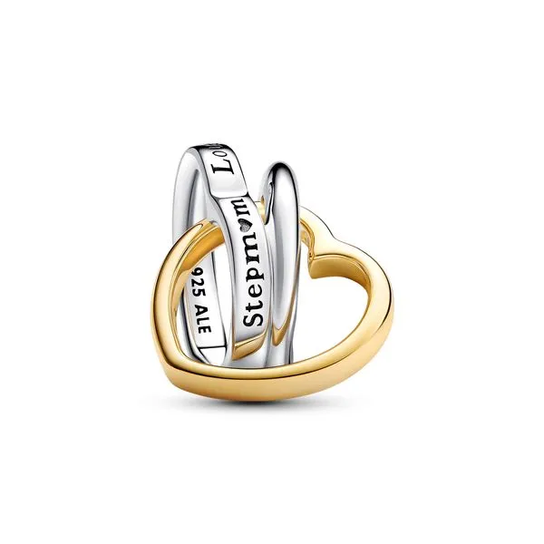 Stepmom Pandora Charm Image 2 The Source Fine Jewelers Greece, NY