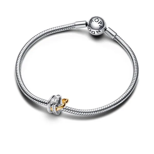 Stepmom Pandora Charm Image 3 The Source Fine Jewelers Greece, NY