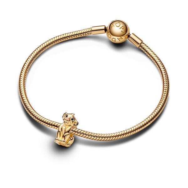 Pandora Charms Image 3 The Source Fine Jewelers Greece, NY