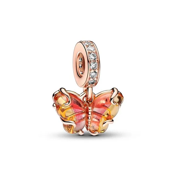 Pandora Charms The Source Fine Jewelers Greece, NY
