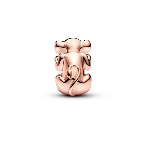 Pandora Charms Image 2 The Source Fine Jewelers Greece, NY
