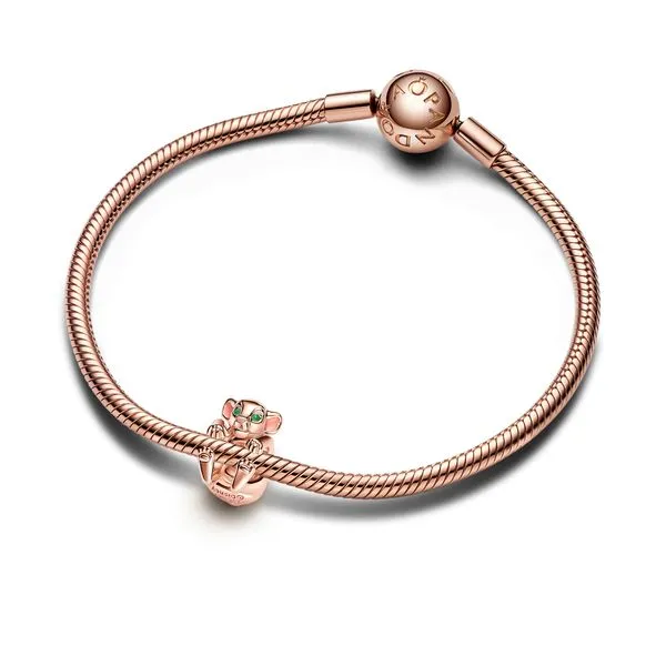 Pandora Charms Image 3 The Source Fine Jewelers Greece, NY