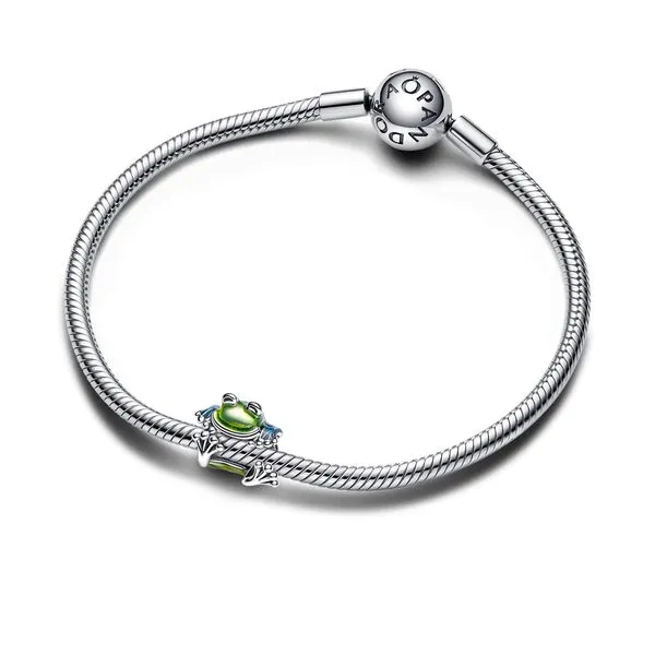 Pandora Charms Image 3 The Source Fine Jewelers Greece, NY