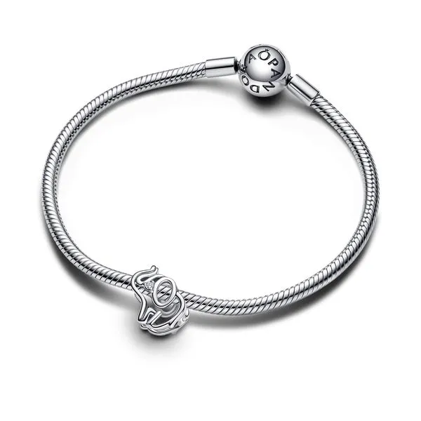 Pandora Charms Image 3 The Source Fine Jewelers Greece, NY