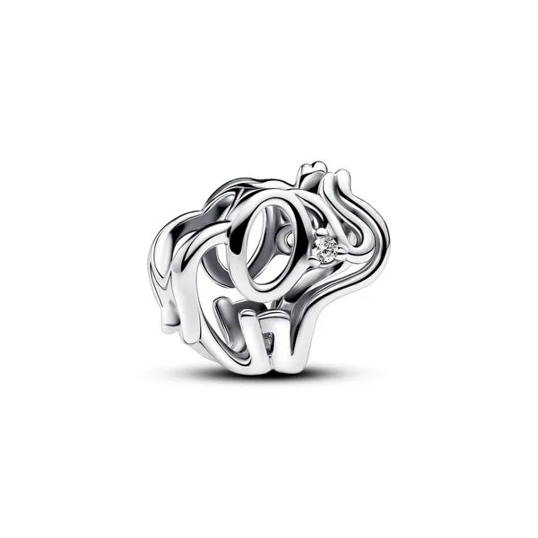Pandora Charms The Source Fine Jewelers Greece, NY