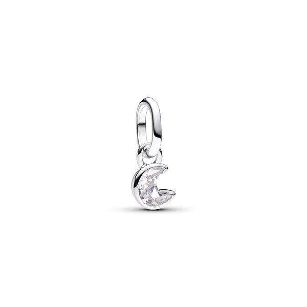 Pandora Charms The Source Fine Jewelers Greece, NY