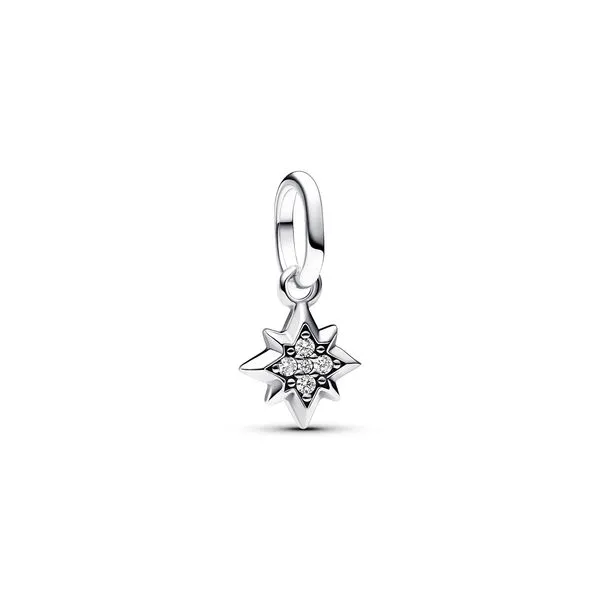 Pandora Charms The Source Fine Jewelers Greece, NY