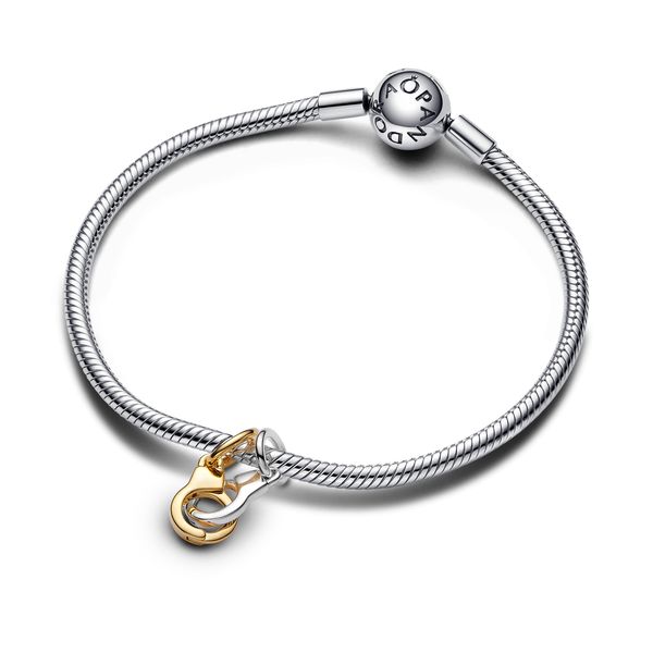 Pandora Charms Image 3 The Source Fine Jewelers Greece, NY
