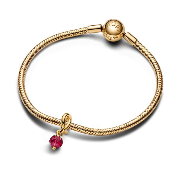 Pandora Charms Image 3 The Source Fine Jewelers Greece, NY