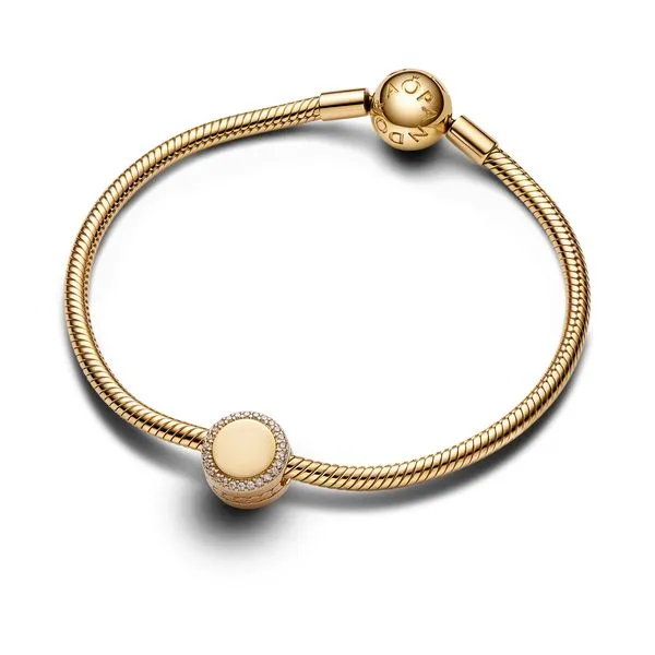 Pandora Charms Image 3 The Source Fine Jewelers Greece, NY