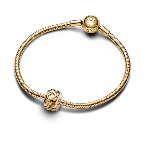 Pandora Charms Image 3 The Source Fine Jewelers Greece, NY