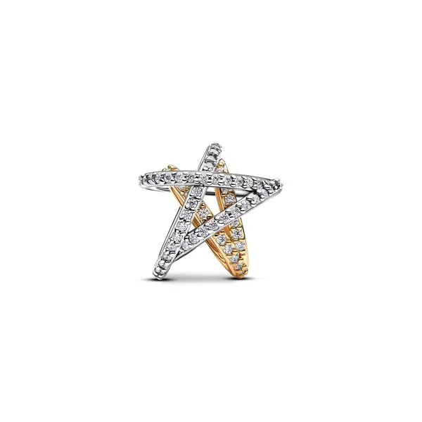 Pandora Charms Image 2 The Source Fine Jewelers Greece, NY
