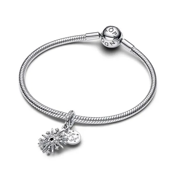 Pandora Charms Image 3 The Source Fine Jewelers Greece, NY