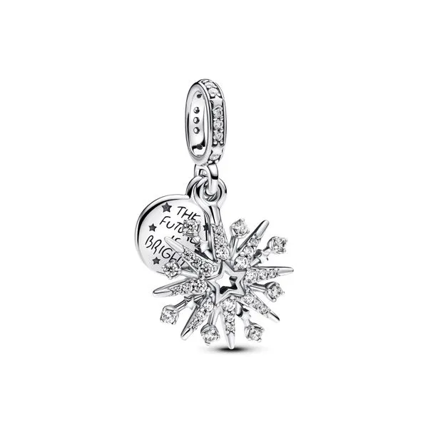 Pandora Charms The Source Fine Jewelers Greece, NY