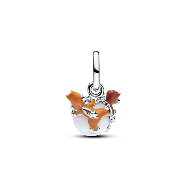 Pandora Charms Image 2 The Source Fine Jewelers Greece, NY