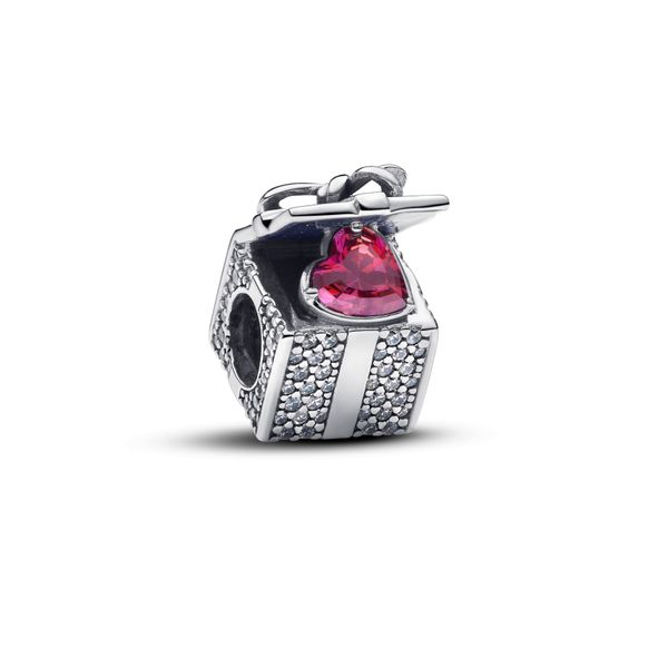 Pandora Charms The Source Fine Jewelers Greece, NY