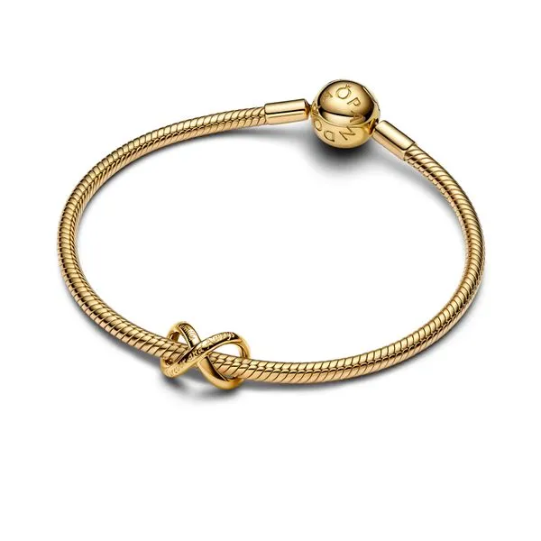 Pandora Charms