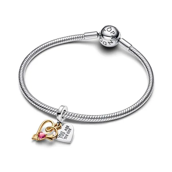 Pandora Charms