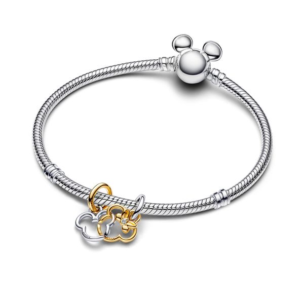 Pandora Charms Image 3 The Source Fine Jewelers Greece, NY