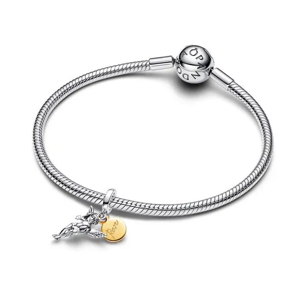 Pandora Charms Image 3 The Source Fine Jewelers Greece, NY