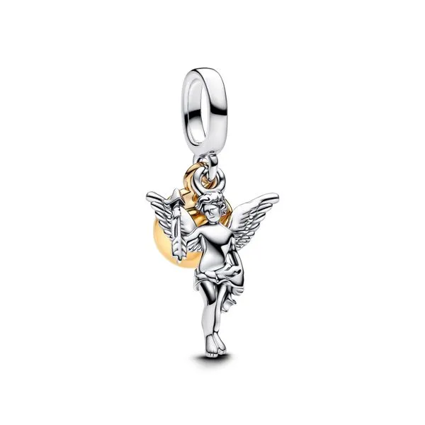 Pandora Charms The Source Fine Jewelers Greece, NY