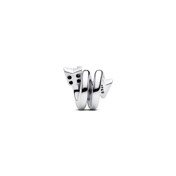 Pandora Charms Image 2 The Source Fine Jewelers Greece, NY