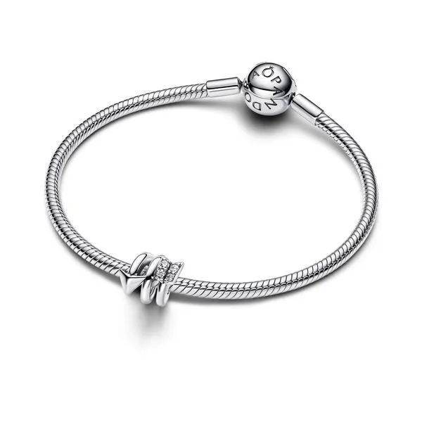 Pandora Charms Image 3 The Source Fine Jewelers Greece, NY