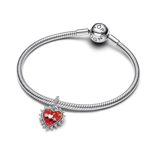Pandora Charms