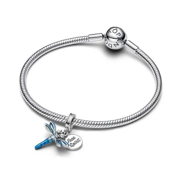 Pandora Charms Image 3 The Source Fine Jewelers Greece, NY