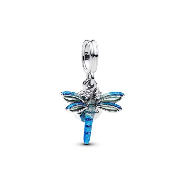 Pandora Charms The Source Fine Jewelers Greece, NY