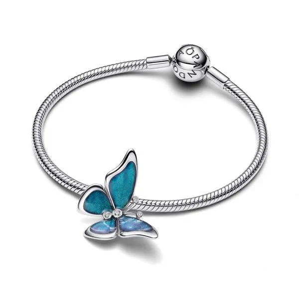 Pandora Charms Image 3 The Source Fine Jewelers Greece, NY