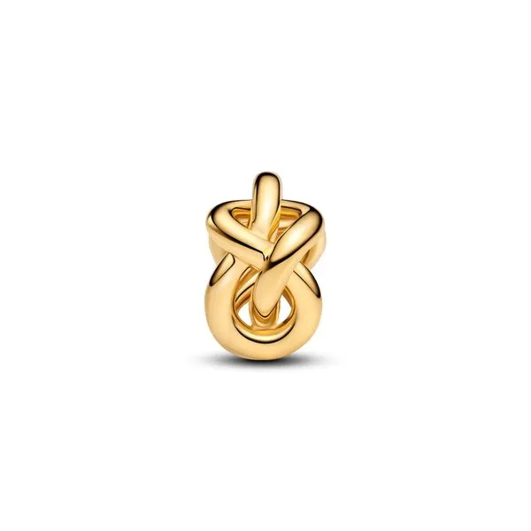 Pandora Charms Image 2 The Source Fine Jewelers Greece, NY