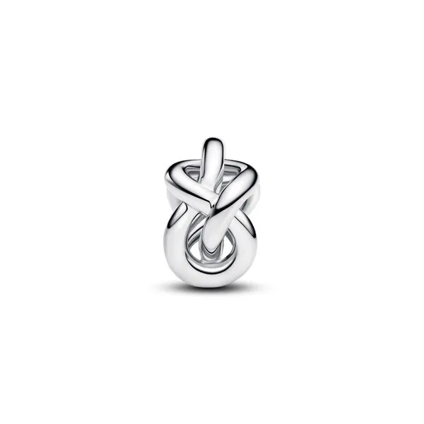 Pandora Charms Image 2 The Source Fine Jewelers Greece, NY