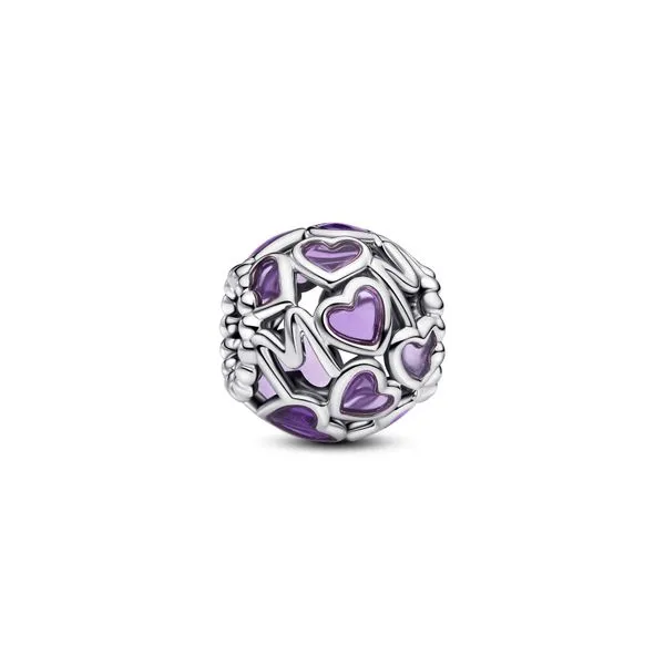 Pandora Charms The Source Fine Jewelers Greece, NY