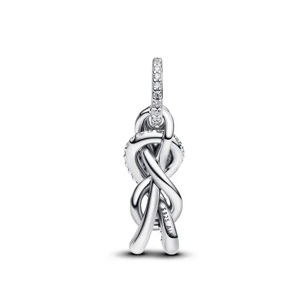 Pandora Charms Image 2 The Source Fine Jewelers Greece, NY
