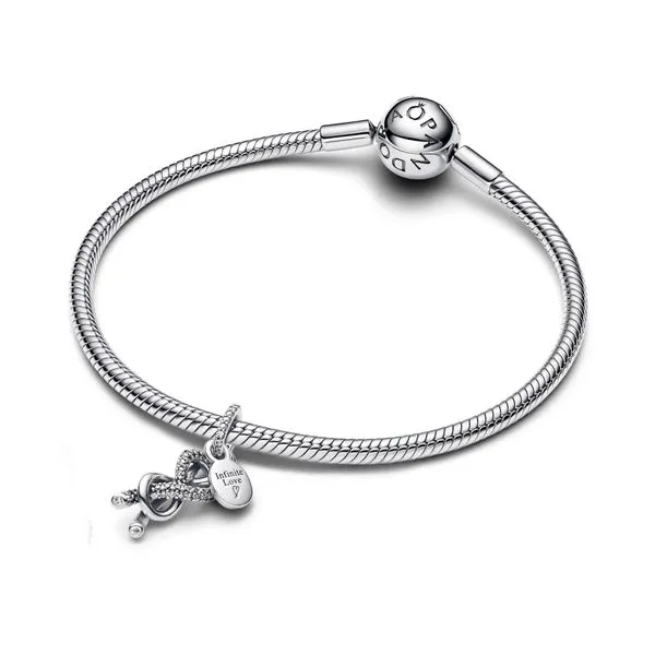 Pandora Charms Image 3 The Source Fine Jewelers Greece, NY