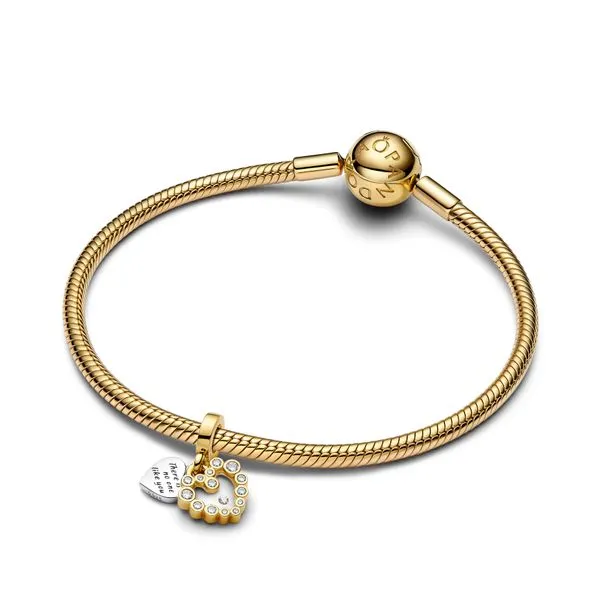 Pandora Charms Image 3 The Source Fine Jewelers Greece, NY