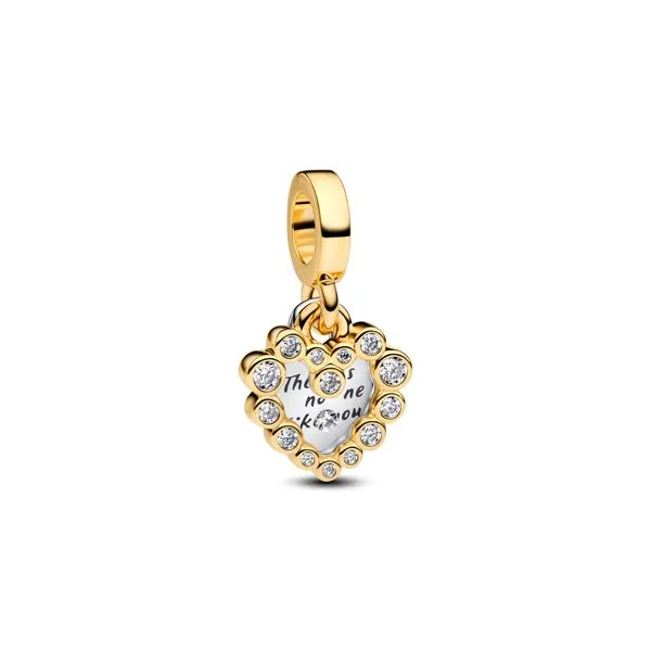 Pandora Charms The Source Fine Jewelers Greece, NY