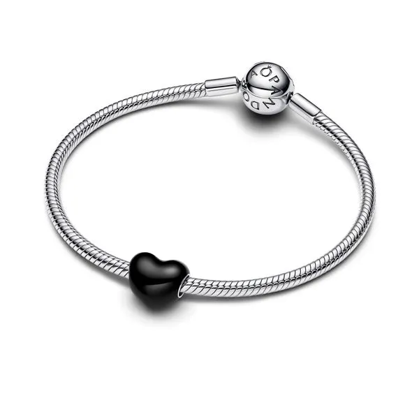 Pandora Charms Image 3 The Source Fine Jewelers Greece, NY