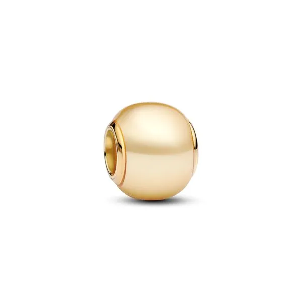 Pandora Charms The Source Fine Jewelers Greece, NY