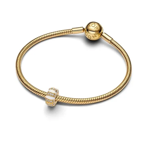 Pandora Charms Image 3 The Source Fine Jewelers Greece, NY