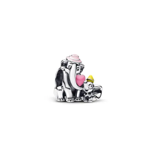 Pandora Charms The Source Fine Jewelers Greece, NY